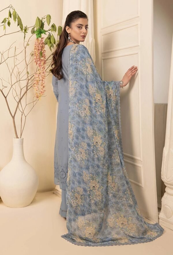 Adan's Libas HAELYN 10 Unstitched Schiffli Lawn 25 - Free Shipping - New Arrivals Just Dropped - Image 2