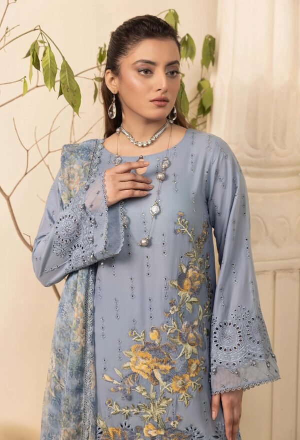 Adan's Libas HAELYN 10 Unstitched Schiffli Lawn 25 - Free Shipping - New Arrivals Just Dropped - Image 3