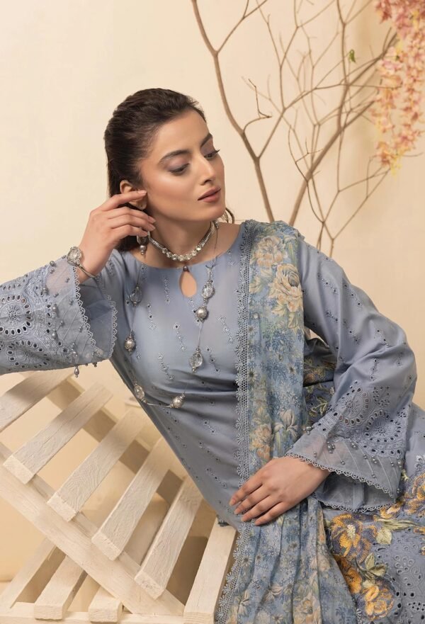Adan's Libas HAELYN 10 Unstitched Schiffli Lawn 25 - Free Shipping - New Arrivals Just Dropped - Image 4