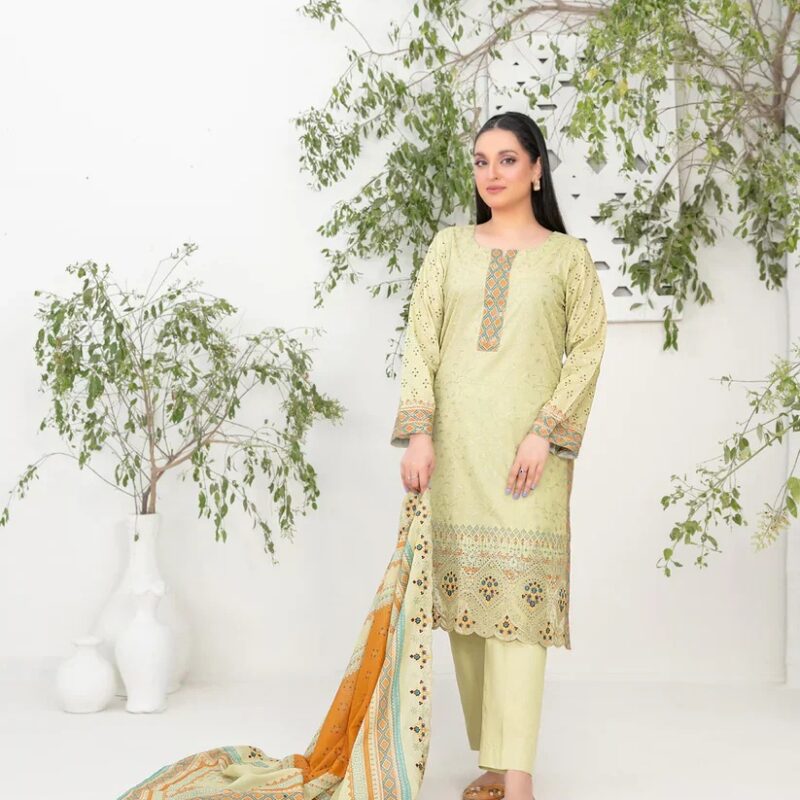 D-1053 - Shazmina Vol-1 – ASIM FABRIC