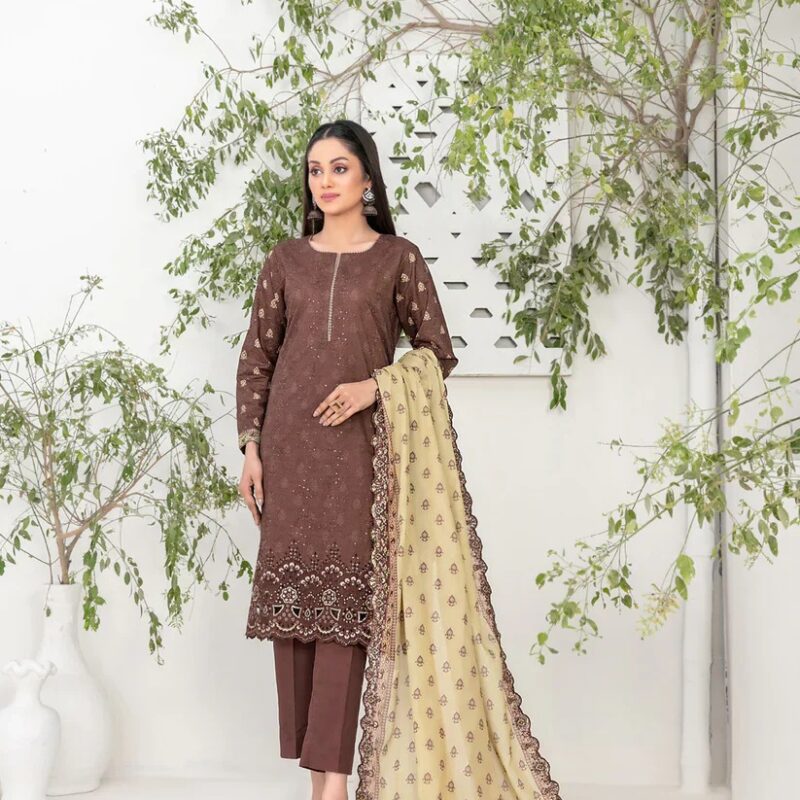 D-1049 - Shazmina Vol-1 – ASIM FABRIC