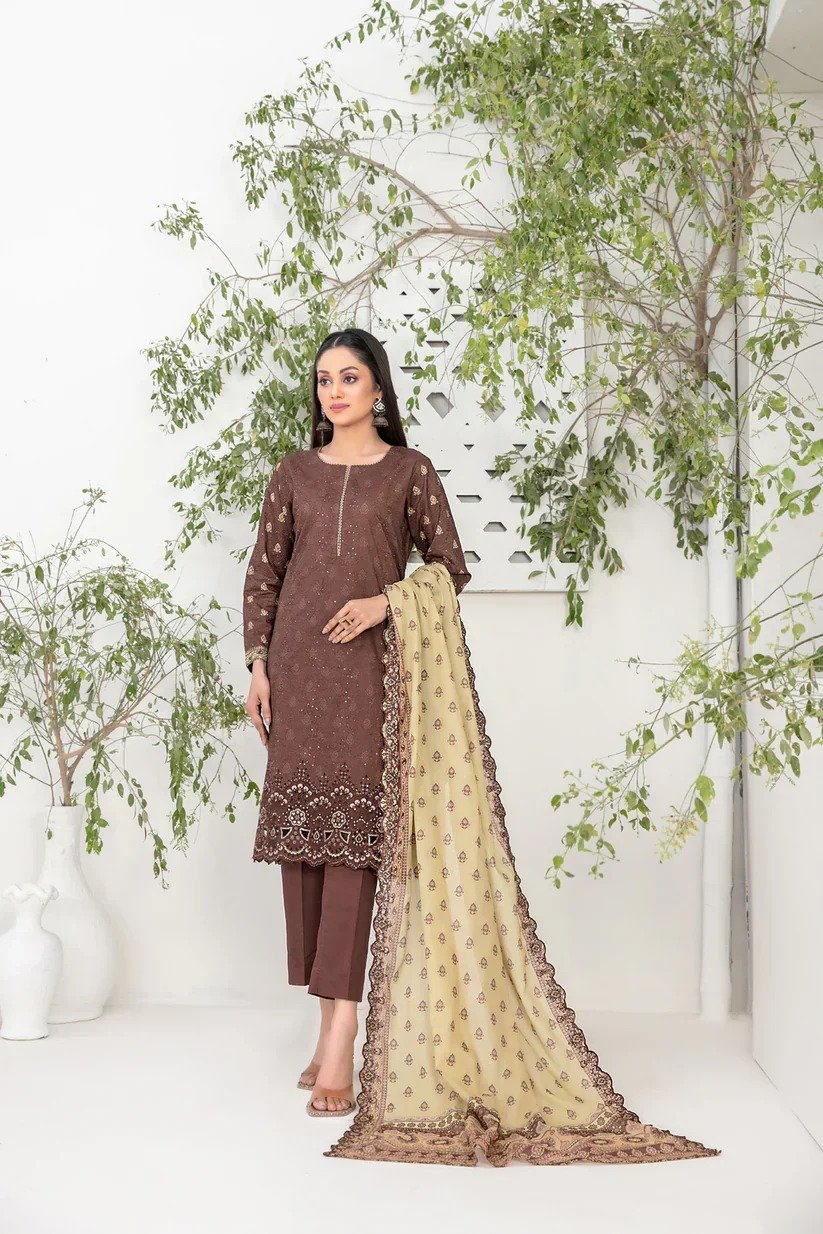 D-1049 – Shazmina Vol-1 – ASIM FABRIC